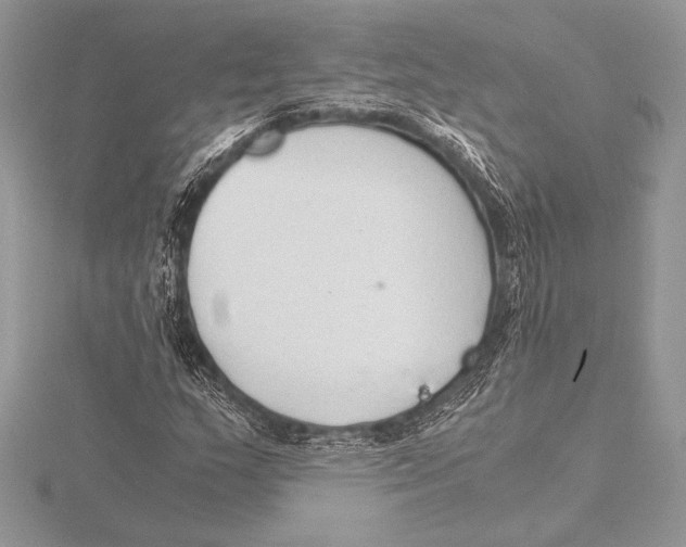 X0000115801159200912111203