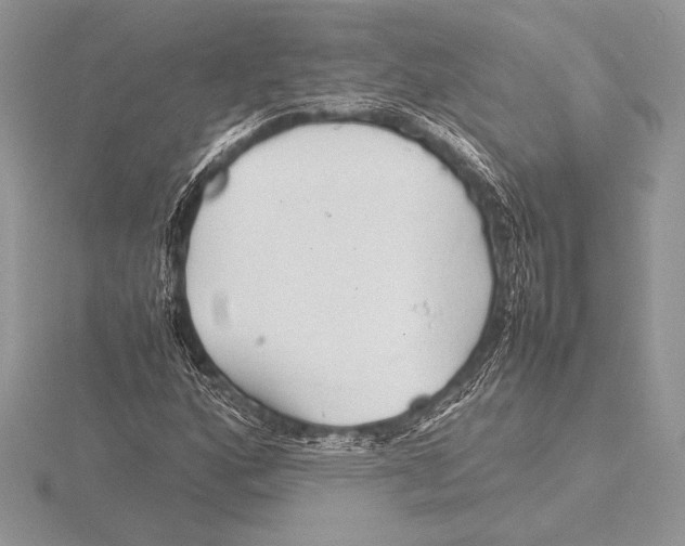 X0000115801160200912111203