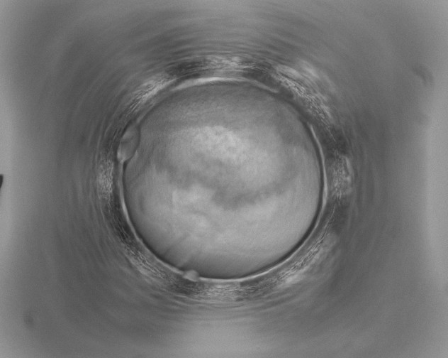 X0000115801161200912111203