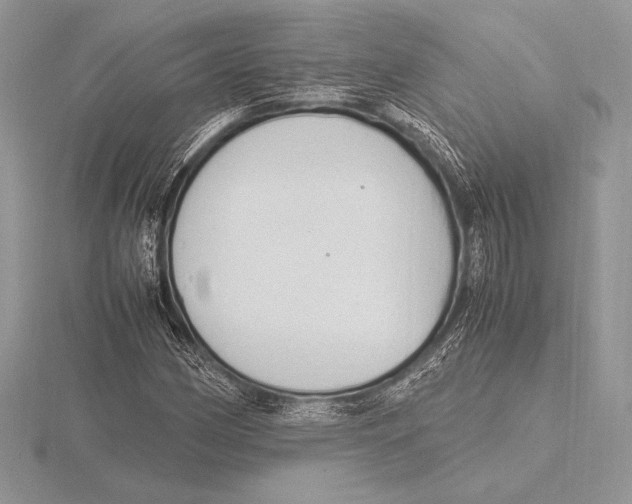 X0000115801162200912111203