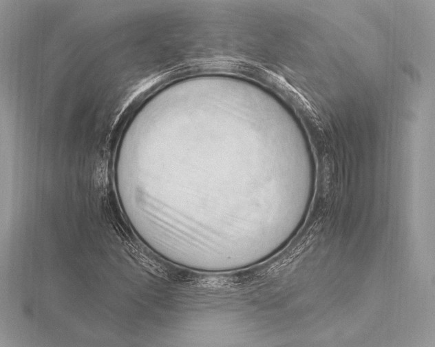 X0000115801166200912111203