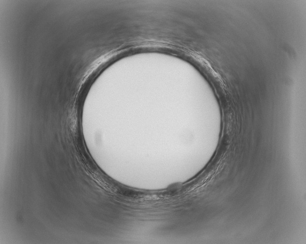 X0000115801167200912111203