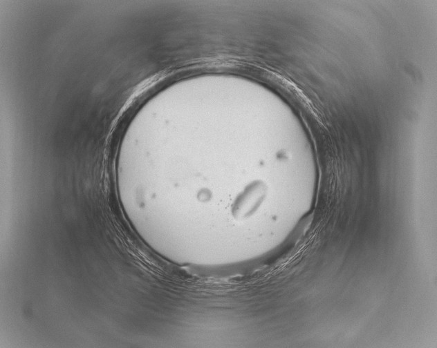 X0000115801168200912111203