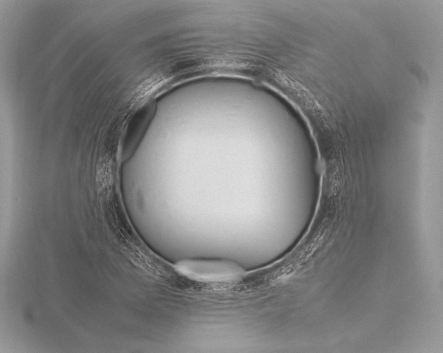 X0000115801169200912111203