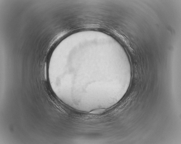 X0000115801171200912111203