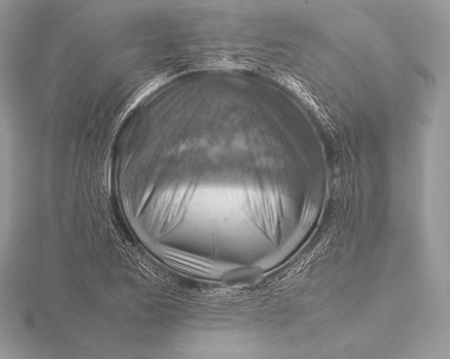 X0000115801173200912111203