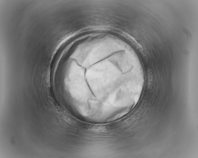 X0000115801174200912111203