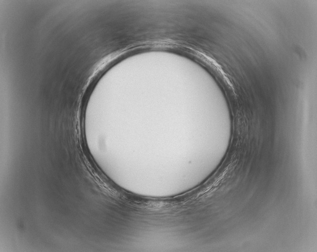 X0000115801176200912111203