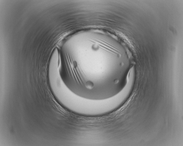 X0000115801177200912111203