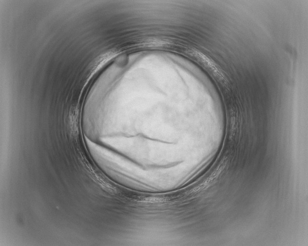 X0000115801178200912111203