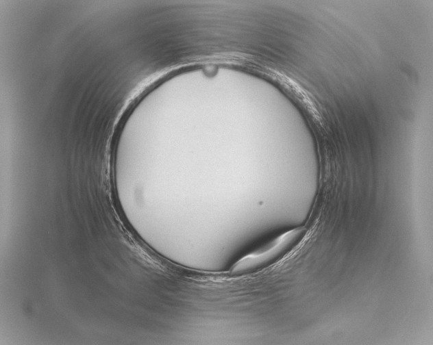 X0000115801184200912111203