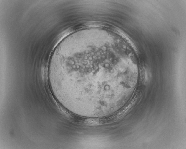 X0000115801194200912111203