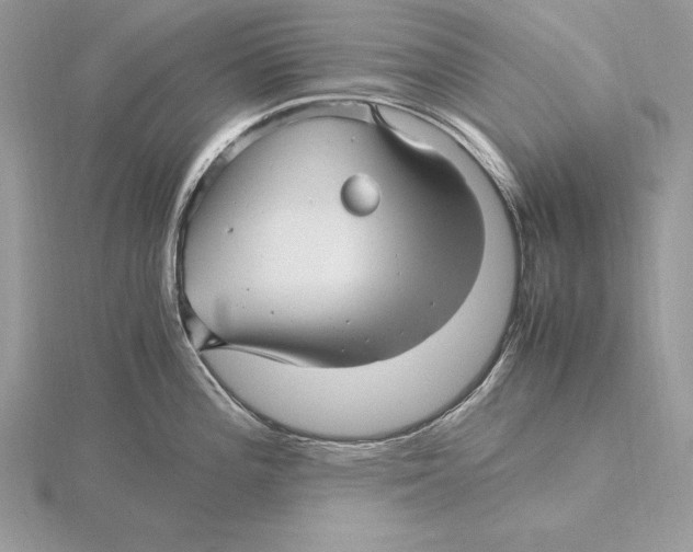 X0000115801196200912111203