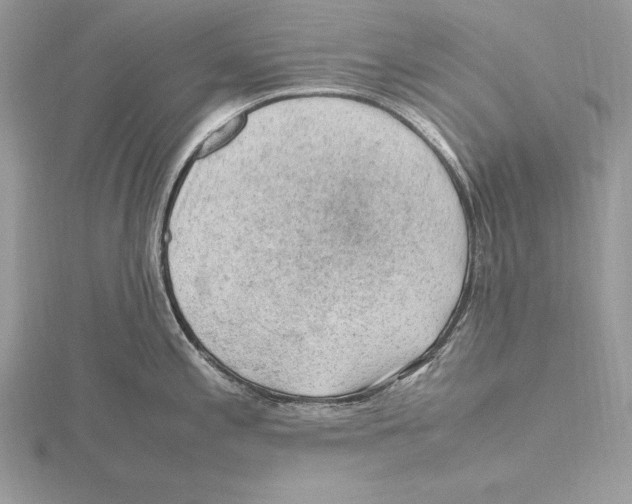 X0000115801197200912111203