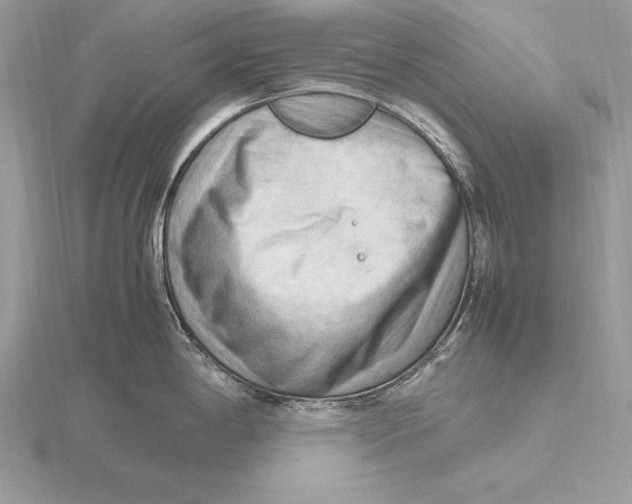 X0000115801198200912111203