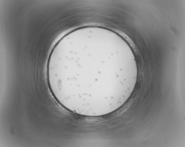 X0000115801199200912111203