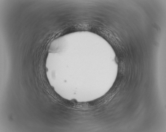 X0000115801201200912111202