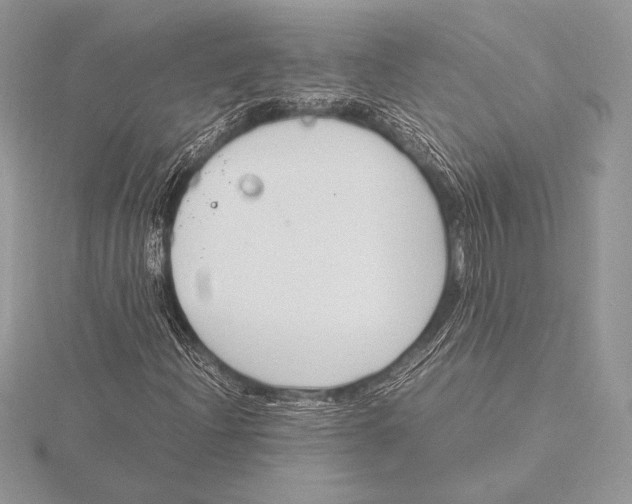 X0000115801204200912111202