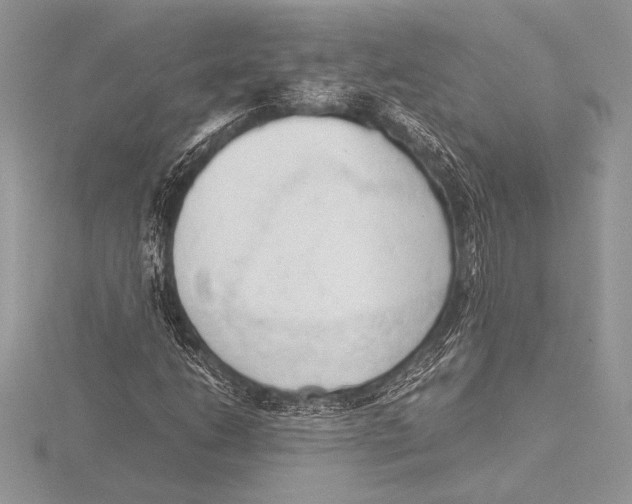 X0000115801206200912111202