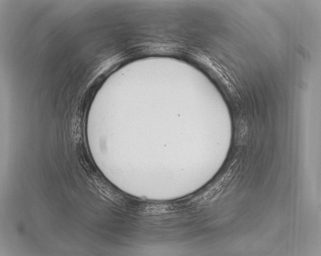 X0000115801211200912111202