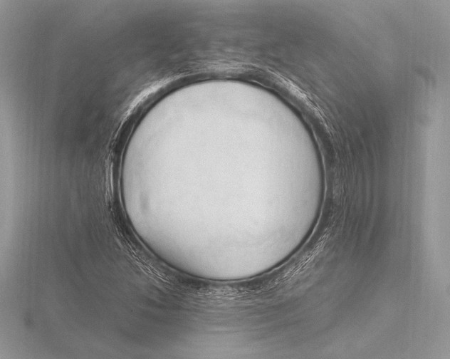 X0000115801214200912111202