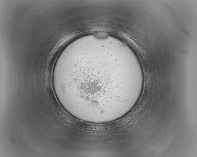 X0000115801215200912111202