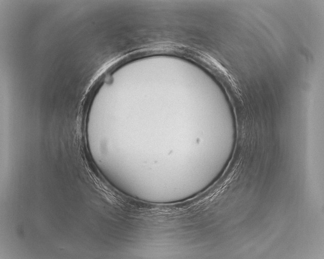 X0000115801216200912111202