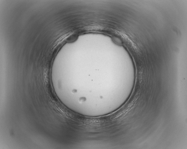 X0000115801217200912111202