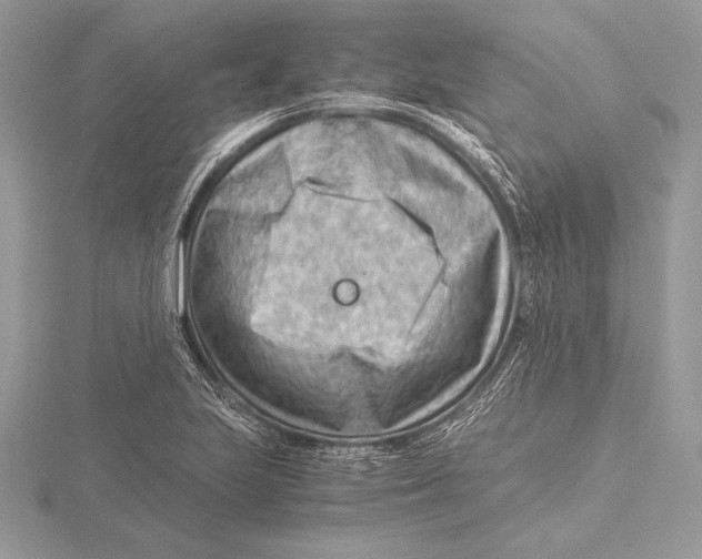 X0000115801223200912111202