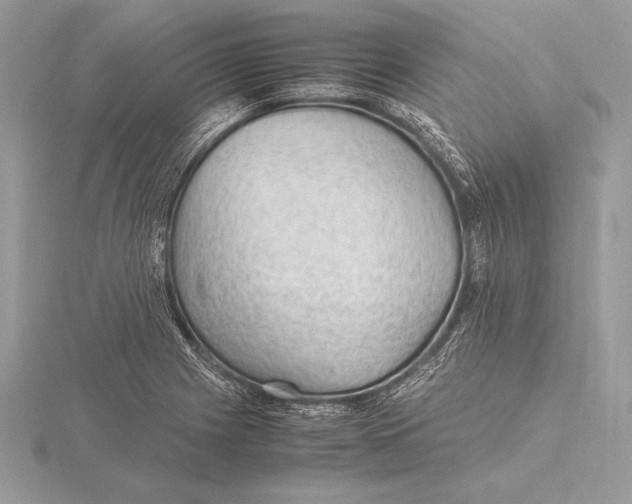 X0000115801225200912111203