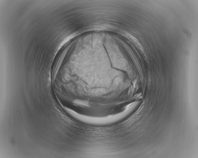 X0000115801226200912111203