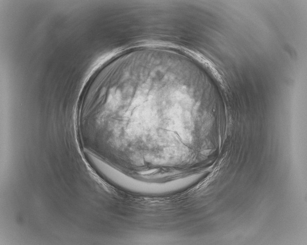 X0000115801231200912111203