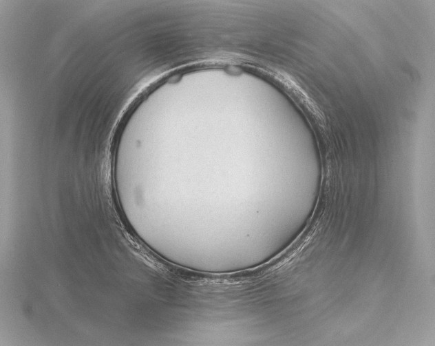 X0000115801232200912111203