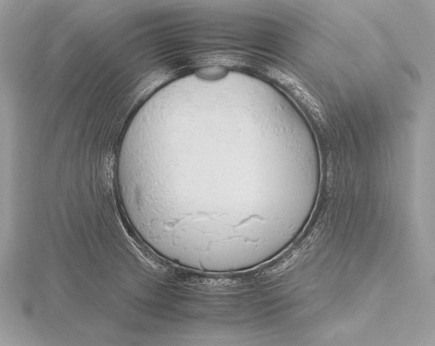 X0000115801233200912111203