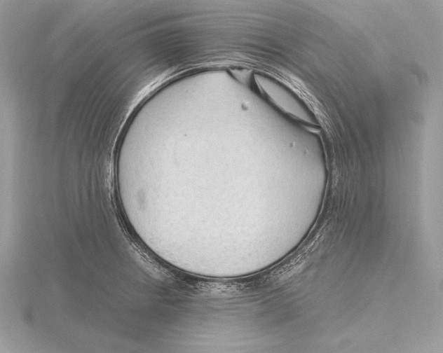 X0000115801234200912111203