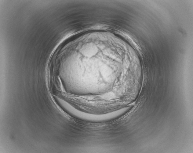 X0000115801235200912111203