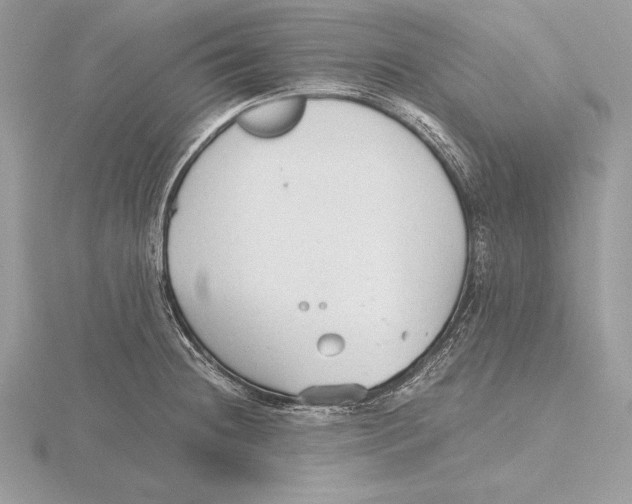 X0000115801236200912111203