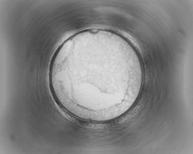 X0000115801237200912111203