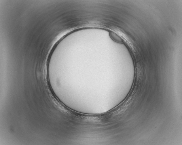 X0000115801238200912111203