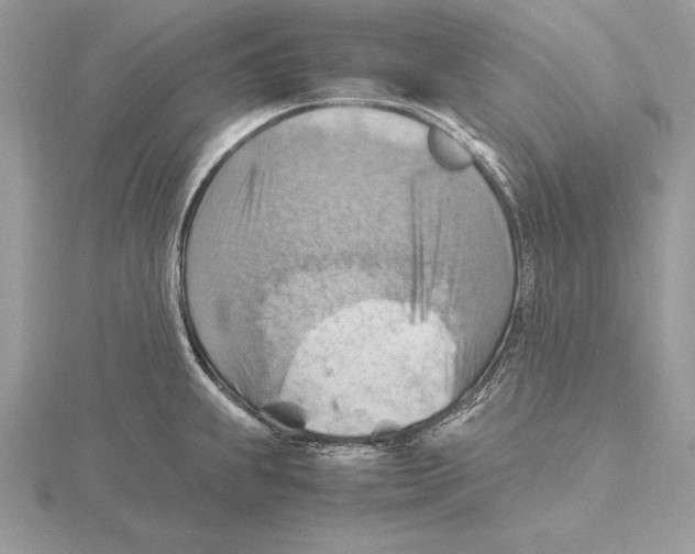 X0000115801239200912111203