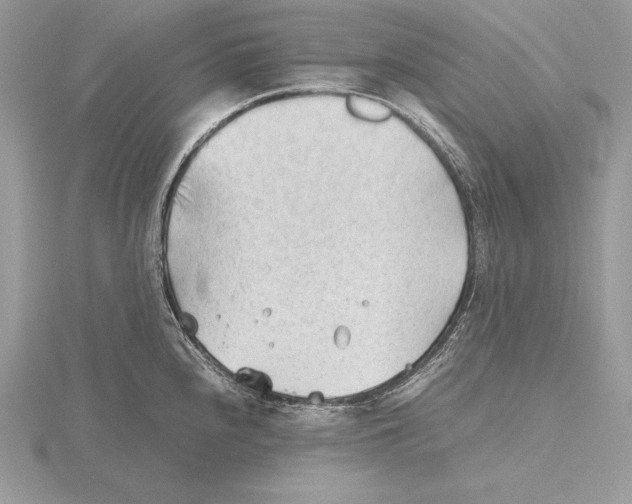 X0000115801240200912111203