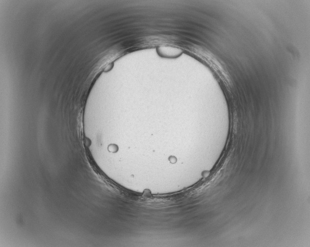 X0000115801241200912111203