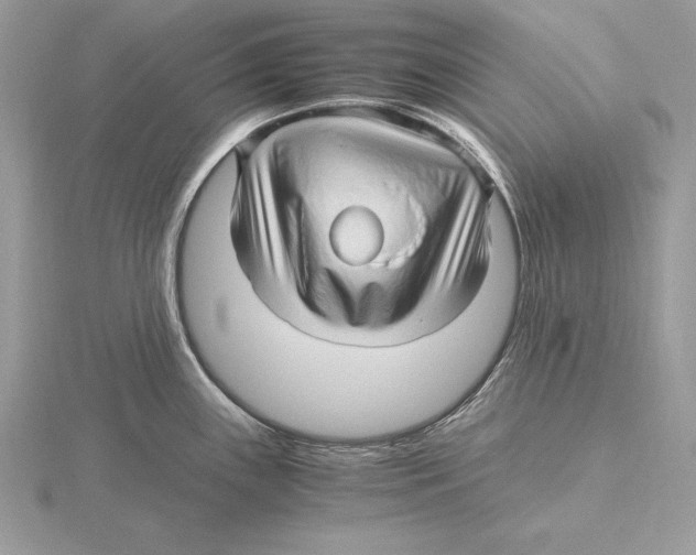 X0000115801243200912111203