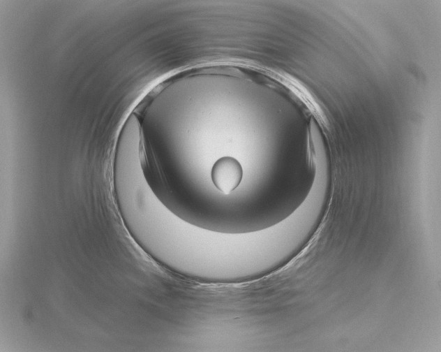 X0000115801244200912111203