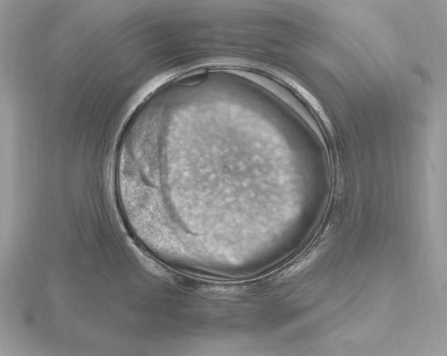 X0000115801245200912111203