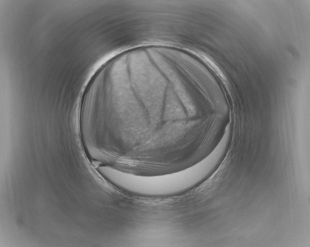 X0000115801246200912111203