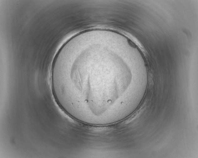 X0000115801247200912111203