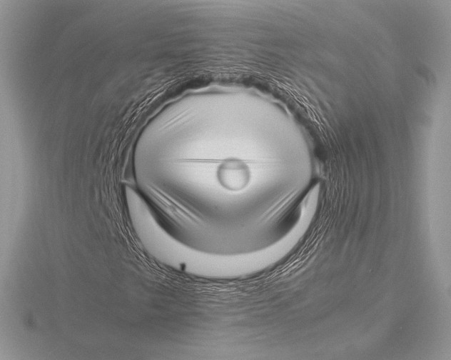 X0000115801249200912111202