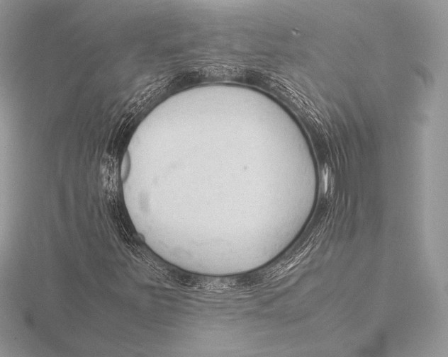 X0000115801251200912111202