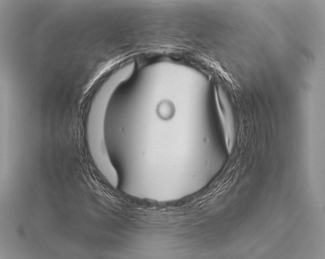 X0000115801256200912111202